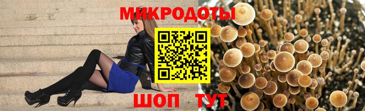 Галлюциногенные грибы MAGIC MUSHROOMS  Псилоцибиновые грибы мухоморы  Вход с VPN  Ухта 